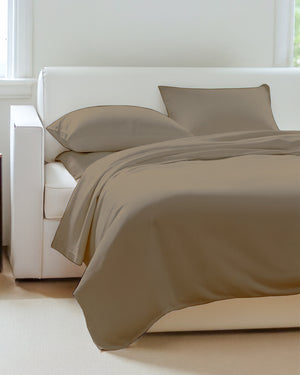 Exclusive 4 Piece Sleeper Sofa Combo- Taupe