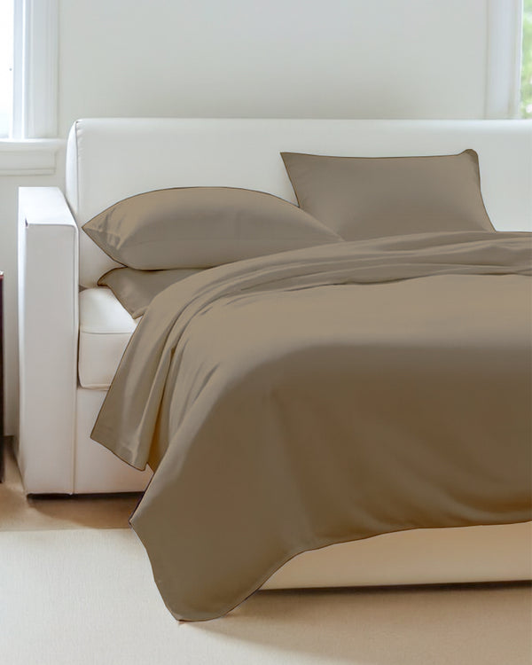 Exclusive 4 Piece Sleeper Sofa Combo- Taupe