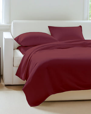 Exclusive 4 Piece Sleeper Sofa Combo- Burgundy