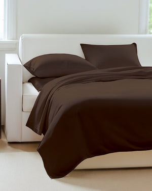 Exclusive 4 Piece Sleeper Sofa Combo- Chocolate