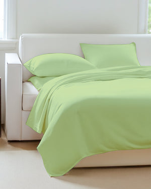 Exclusive 4 Piece Sleeper Sofa Combo- Sage