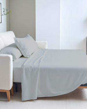 Exclusive 4 Piece Sleeper Sofa Combo- Light Gray