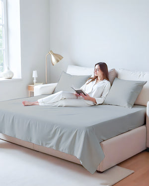 Exclusive 4 Piece Sleeper Sofa Combo- Light Gray