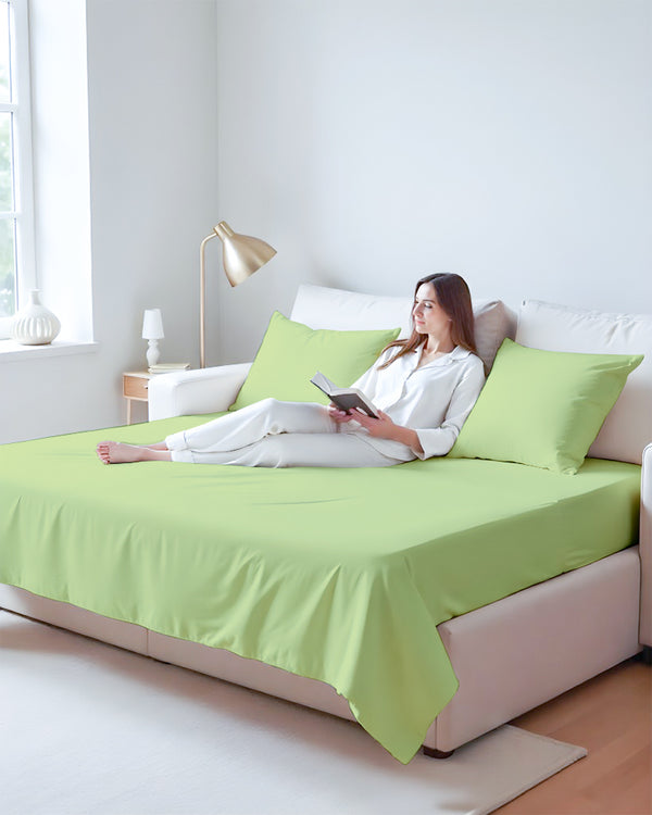 Exclusive 4 Piece Sleeper Sofa Combo- Sage