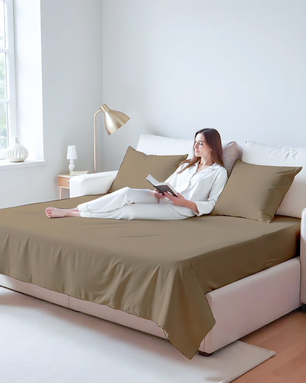 Exclusive 4 Piece Sleeper Sofa Combo- Taupe