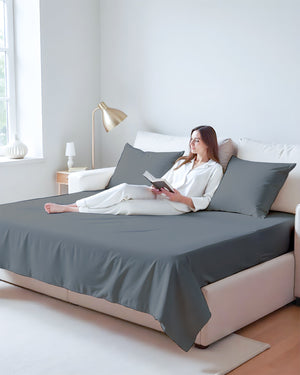 Exclusive 4 Piece Sleeper Sofa Combo- Dark Gray