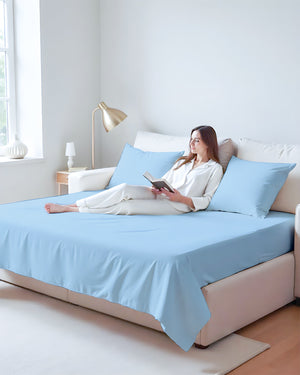 Exclusive 4 Piece Sleeper Sofa Combo- Light Blue