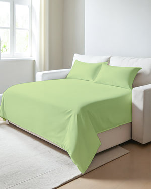 Exclusive 4 Piece Sleeper Sofa Combo- Sage