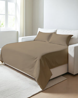 Exclusive 4 Piece Sleeper Sofa Combo- Taupe