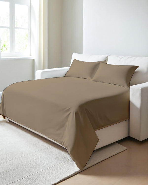 Exclusive 4 Piece Sleeper Sofa Combo- Taupe