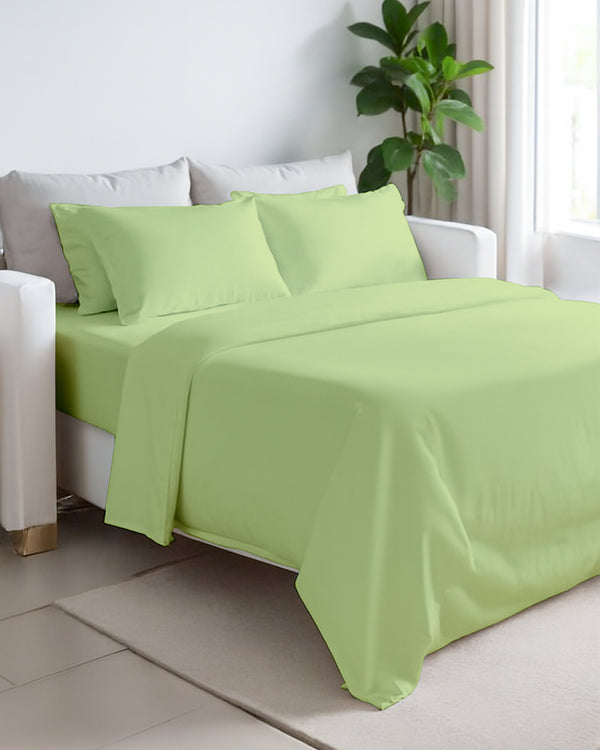 Exclusive 4 Piece Sleeper Sofa Combo- Sage