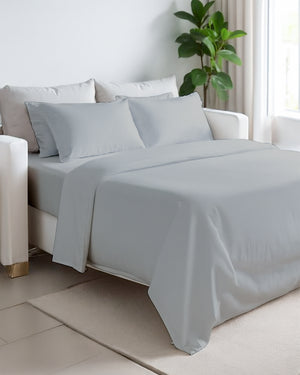 Exclusive 4 Piece Sleeper Sofa Combo- Light Gray