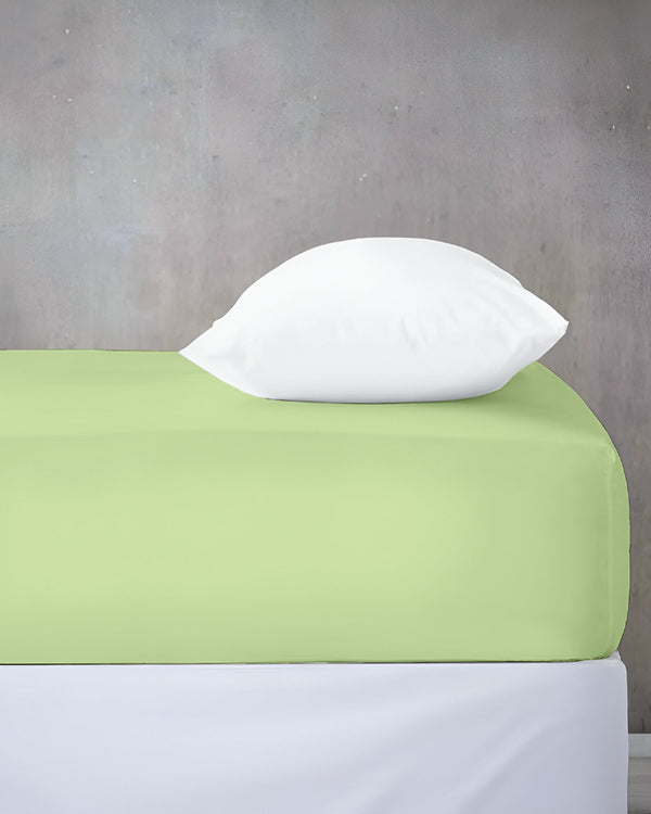 Cloud Soft Classic –  Single Fitted Sheet for Everyday Luxury - Sage