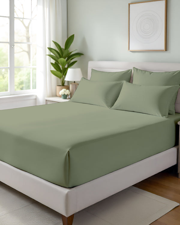 Giza Grace – Classic 1 Piece Fitted Sheet- Sage